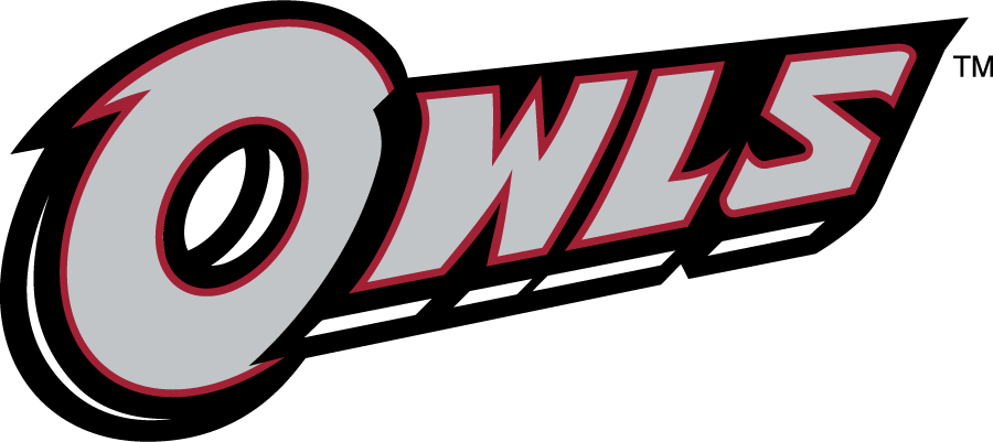 Temple Owls 2014-2020 Wordmark Logo v4 diy DTF decal sticker